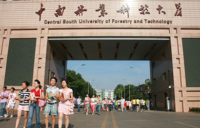 中南林业科技大学在职研究生校园图片