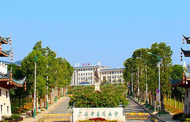 广西中医药大学在职研究生校园图片