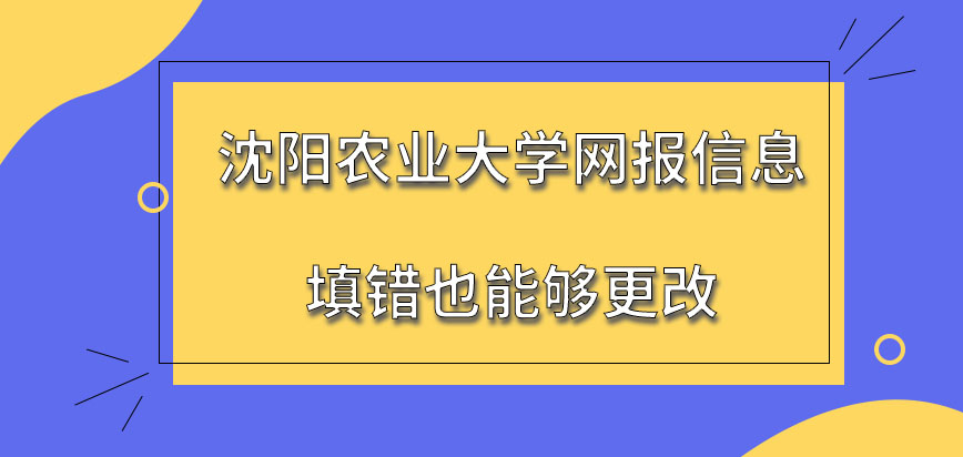 沈阳农业大学在职研究生网报信息填错能更改吗是全天都可在网上申报吗