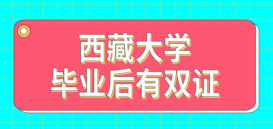 西藏大学在职课程培训班毕业后就有双证吗在网上都有对应信息吗