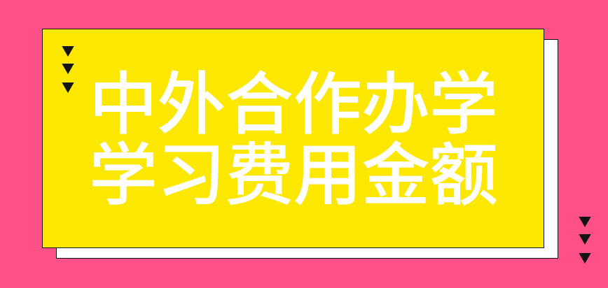 中外合作办学学习费用高于十万元吗有外语教学的设定吗