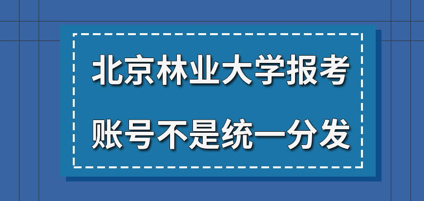北京林业大学在职研究生报考账号是统一分发的吗网报只可在研招网操作吗