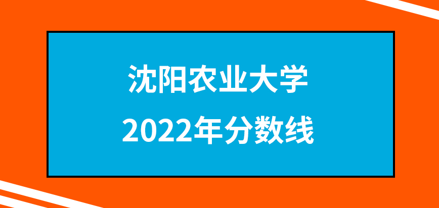 沈阳农业大学在职研究生2022年分数线已经刷新完了吗