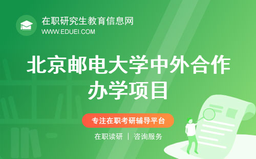 2024北京邮电大学中外合作办学项目能上网课吗？