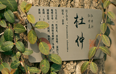 北京林业大学在职研究生校园图片