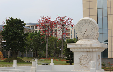 广西中医药大学在职研究生院校图片