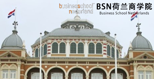 BSN荷兰商学院