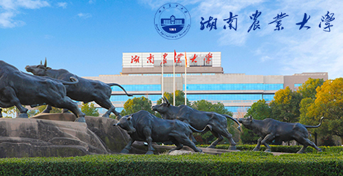 湖南农业大学在职博士校园图片